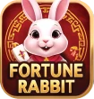 Fortune Rabbit