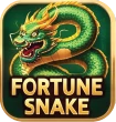 Fortune Snake