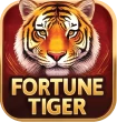 Fortune Tiger